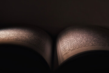 Graceful aged book displaying textured pages and leather binding details