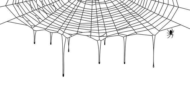 Spooky Spider Web with Dripping Cobwebs halloween