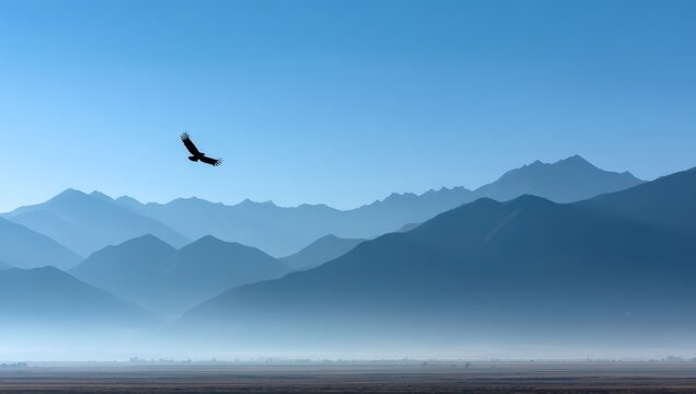 Soaring eagle silhouetted against blue mountains and sky during daylight