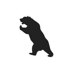 silhouette of wild bear