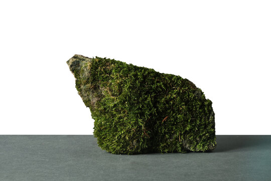 Large mossy stone isolated on white with shadow. Clean natural element ideal for eco-themed design. Copy space