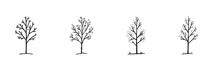 Fototapeta premium Four Trees Line Icon Set In Doodle Style. Seasonal Growth And Nature Cycle Outline Sketch Collection. Botanical Illustration Of Tree Variations. Hand Drawn Isolated Vector Illustration