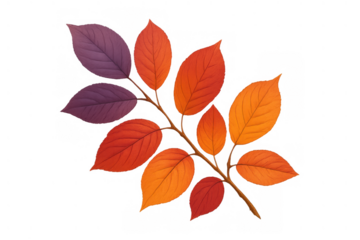 Autumn leaves branch showing vibrant seasonal colors orange red yellow and purple on transparent background
