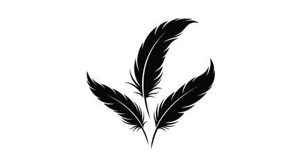 Obraz premium Elegant black feathers arranged in a delicate minimalist composition