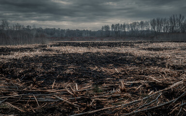 Dramatic Burned field from controlled burn