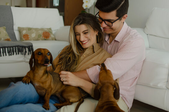mulher gr&aacute;vida no colo do marido se divertindo com seus dois cachorros em casa