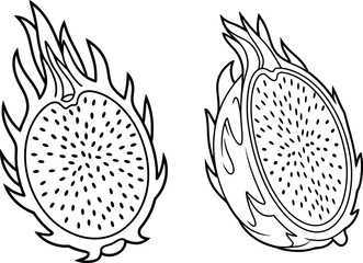 Dragon Fruit Cut Half Line Art