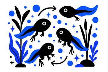 Fototapeta premium Frog Development Cycle. Frog lifecycle. Tadpoles swimming around pond vegetation with abstract floating water bubbles, arrows, and sparkles; emphasizes