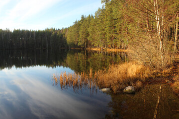 The low autumn sun illuminates a forest lake, pine trees and sky are reflected in the water, a bright November landscape