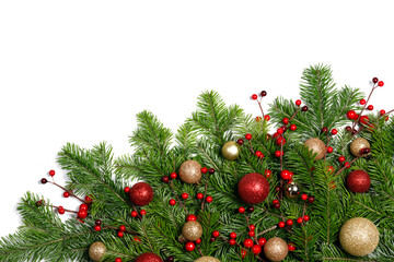 christmas pine isolated whites frame