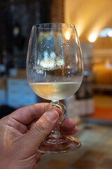 Visit of chateau with undergroud caves and wine tasting  in Cahors wine production area, white, rose and red malbec wines, France
