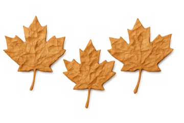 Three crumpled paper maple leaves presenting autumn fall concept, isolated on transparent background