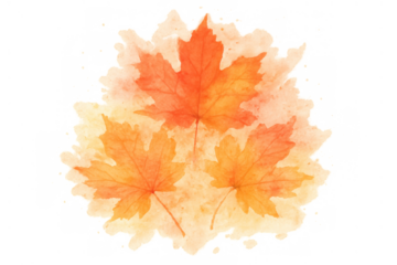 Watercolor maple leaves abstract design with fall foliage colors, hand painted autumn elements on transparent background