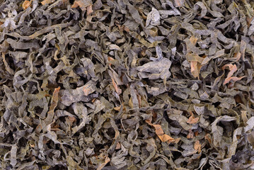 Dried seaweed close-up texture background