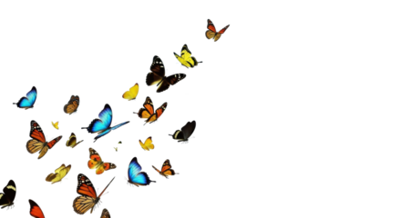 Dynamic swarm of vibrant butterflies in ascending flight, emerging from ethereal light and abstract data patterns on a clean corporate background, embodying innovation and growth concept for business