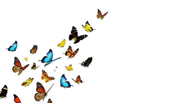 Dynamic swarm of vibrant butterflies in ascending flight, emerging from ethereal light and abstract data patterns on a clean corporate background, embodying innovation and growth concept for business