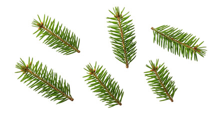 Evoking holiday spirit Festive pine sprigs falling like snow bringing a sense of winter on transparent background