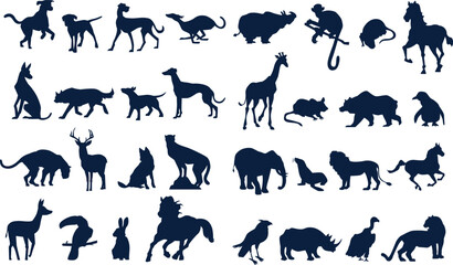 wild animals collection