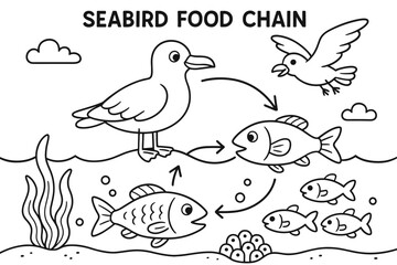 Obraz premium Seabird Food Chain Illustration. Seabird food chain children?s coloring book illustration, outlined drawing, a fun learning scene showing fish, seabirds, and