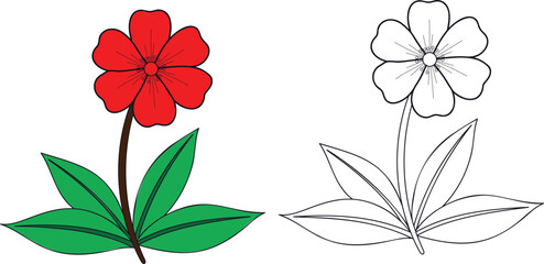Red Flower with Green Leaves and Outline Flower on White Background leaf stem