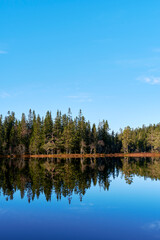 Obraz premium Reflections in the Vetl-Bergsjøen Lake, part of the Totenåsen Hills, Norway, in November 2025.