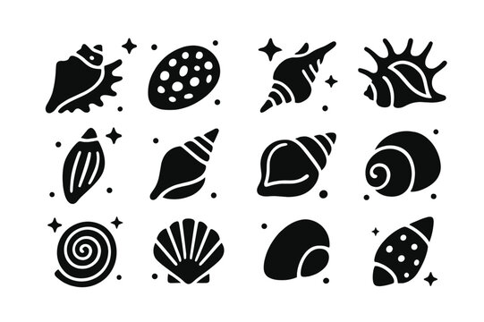 Tropical Shell Icons. Tropical Shells. Solid icons set of Tropical Shells: queen conch, tiger cowrie, triton trumpet, spider conch, harp shell, mitre shell,