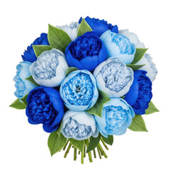Blue and white peonies isolated on transparent background