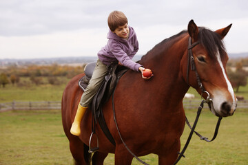 Obraz premium Equine assisted therapy. Little boy feeding apple to horse while riding outdoors. Lovely domesticated pet