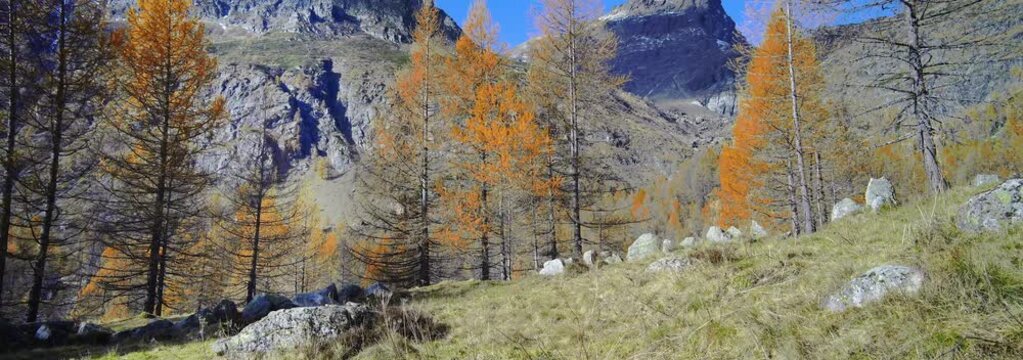 Anamorphic Lens 6K - Autumn landscape on the Devero Alps