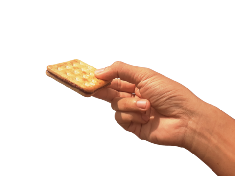 Holding a chocolate filled cracker in hand, isolated on PNG background.