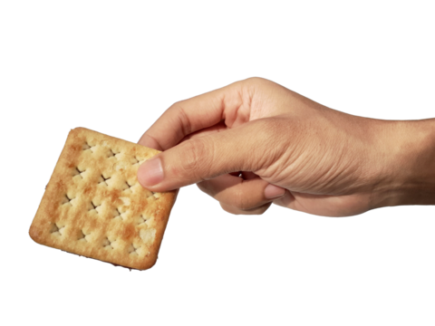 Holding a chocolate filled cracker in hand, isolated on PNG background.