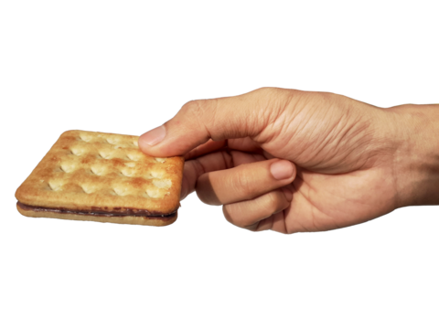 Holding a chocolate filled cracker in hand, isolated on PNG background.