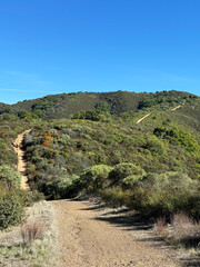 Curving dirt Priest Rock Trail leading through green hillsides and chaparral vegetation under clear blue sky in Sierra Azul Open Space Preserve
