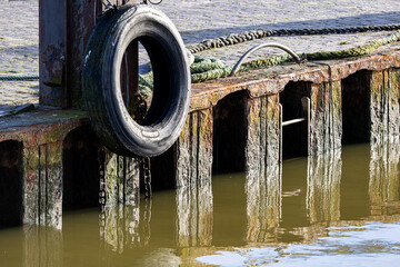 Ein sonniger Herbsttag im Nordseeheilbad Dangast mit Seehund