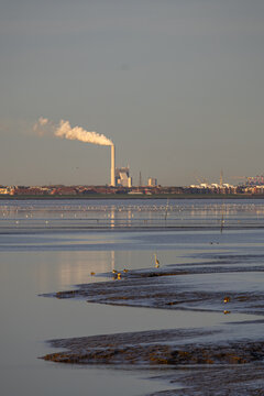 Ein sonniger Herbsttag im Nordseeheilbad Dangast mit Seehund