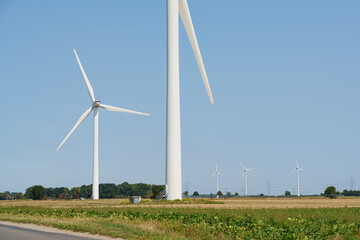Fototapeta premium Tall white wind turbines standing in open farmland beneath bright blue skies