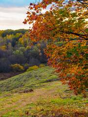 in the park in autumn