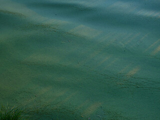 River algae bloom in autumn