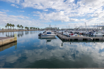 Denia marina with many boats and palm trees