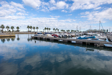 Fototapeta premium Denia marina in alicante with parked boats and palm trees