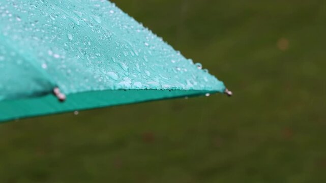 rain dropping off side of a teal umbrella, heavy rain 