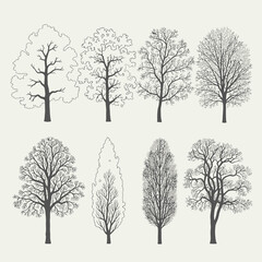 Obraz premium Hand drawn tree silhouettes and outline illustrations set design