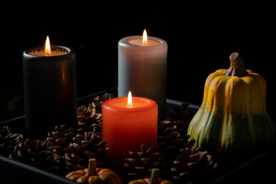 Three candles on a tray with pine cones and pumpkin decorations.