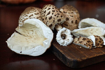 Macrolepiota procera, the parasol mushrooms, whole and cut on a dark board. Warm brown tones and detailed gills under the caps. Concept of forest harvest and natural texture. © Natallia