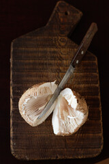 Macrolepiota procera, the parasol mushroom, cut in half with a knife on a dark textured board. Concept of ingredient detail, natural symmetry, and rustic food styling. © Natallia