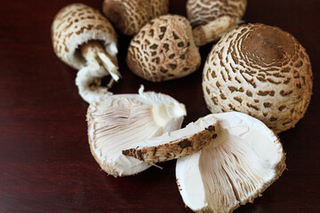 Macrolepiota procera, the parasol mushrooms, sliced to reveal gills and inner texture on a wooden surface. Concept of natural structure, ingredient study, organic design. © Natallia