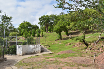Beautiful green spaces and trees in Parque Mirador Independencia, offering a serene environment in Guadalajara, Jalisco