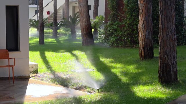 Close-up automatic sprinklers system watering lawn.	
