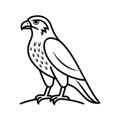 Falcon Line Art Vector Illustration