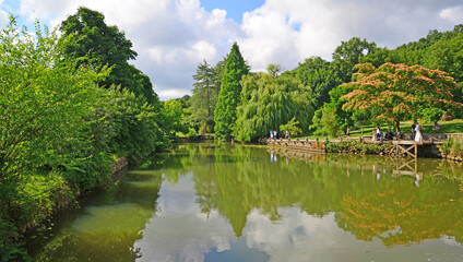 Ataturk Arboretum, located in Istanbul, Turkey, is a natural museum with many lice and trees.